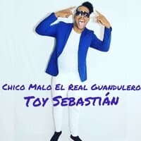 Toy Sebastián