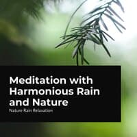 Meditation with Harmonious Rain and Nature