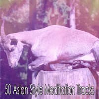 50 Asian Style Meditation Tracks