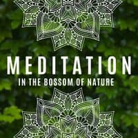 Meditation in the Bossom of Nature. Quiet Time, Focus on Yourself, Soothing Sounds, Feel Better