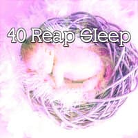 40 Reap Sle - EP