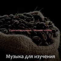 Сцинтилляционный момент, чтение