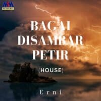 Bagai Disambar Petir