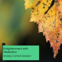 Enlightenment With Meditation - Anxiety Control Session