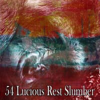 54 Lucious Rest Slumber