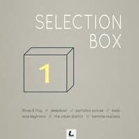 Selection Box 1