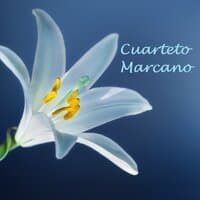 Cuarteto Marcano