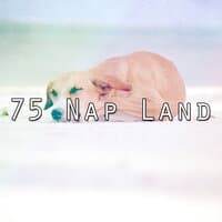 75 Nap Land