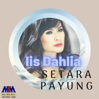 Setara Payung