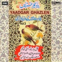 Yaadgar Ghazlen, Vol. 2