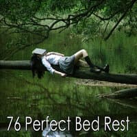 76 Perfect Bed Rest