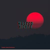 Wasted Nights