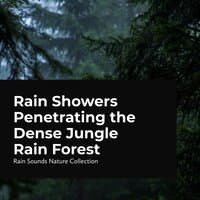 Rain Showers Penetrating the Dense Jungle Rain Forest