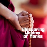 Meet the Monk