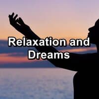 Relaxation and Dreams