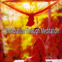 53 Mediation Through Meditation