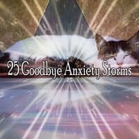 25 Goodbye Anxiety Storms