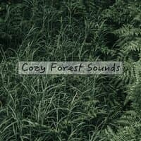 Cozy Forest Sounds