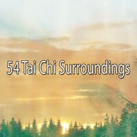 54 Tai Chi Surroundings