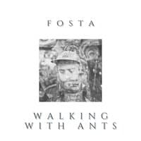 Walking with Ants