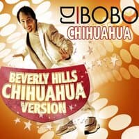 Chihuahua - Beverly Hills Chihuahua