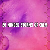 26 Minded Storms of Calm