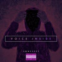 Voice Inside