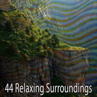 44 Relaxing Surroundings