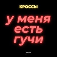 У меня есть гучи