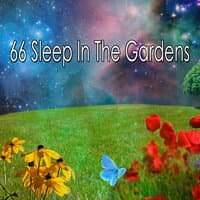 66 Sleep In The Gardens