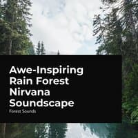 Awe-Inspiring Rain Forest Nirvana Soundscape