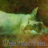 73 Peace in Music for Sle - EP