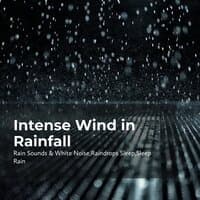 Intense Wind in Rainfall