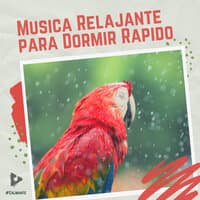 Música Relajante para Dormir Rápido