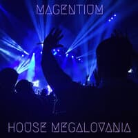 House Megalovania