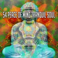 54 Peace of Mind Tranquil Soul