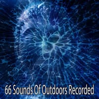 66 Sounds of Outdoors Recorded