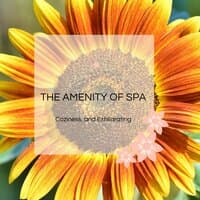 The Amenity Of Spa - Coziness, And Exhilarating