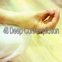 48 Deep Contemplation