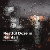 Restful Doze in Rainfall