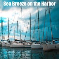 Sea Breeze on the Harbor