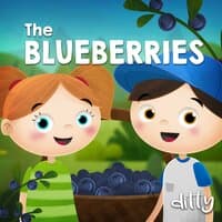 Blueberries