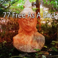 77 Free as a Bird