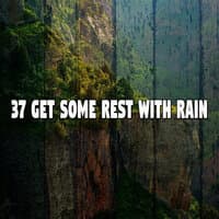 37 Get Some Rest with Rain