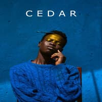 Cedar