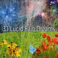 31 Lucid Rain Dreams