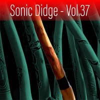 Sonic Didge, Vol. 37