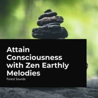 Attain Consciousness with Zen Earthly Melodies