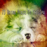 73 Bring Peace To the Spa