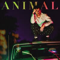 Animal